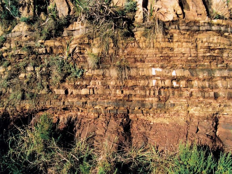 Sedimentary sandstone layers of Table Mountain