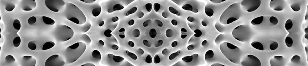 Scanning Electron microscope image of a sea urchin spine